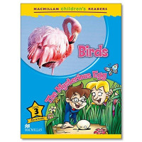 Birds - The Mysterious Egg - Level 3 