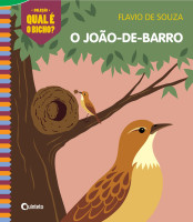 O João de Barro 
