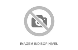 Animais em extinção 